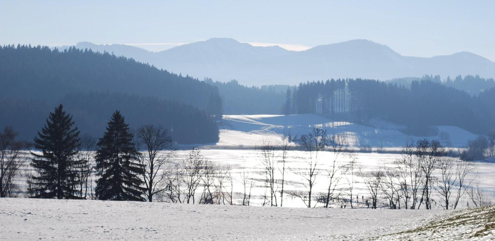 Landsitz Rocky Docky Villa Niedersonthofen Екстериор снимка